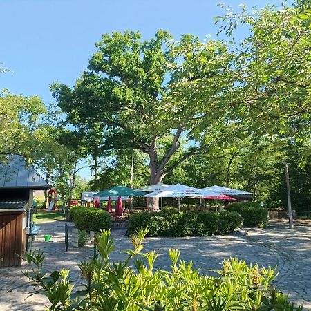 Hotel Schloesschen Sundische Wiese Zingst Exterior photo